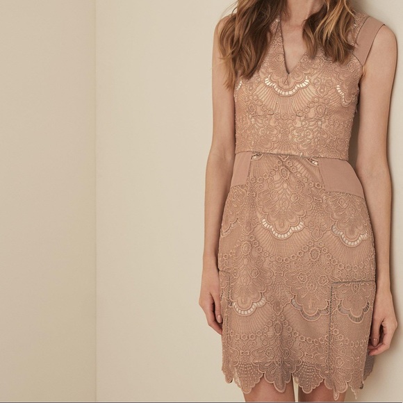 REISS Natural Gemina Lace Fit And Flare Dress New - Picture 9 of 11